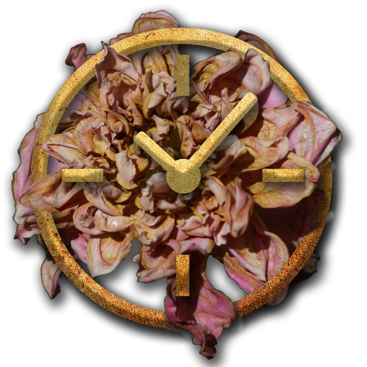 CounterClock Season Three Counterclock Podcast