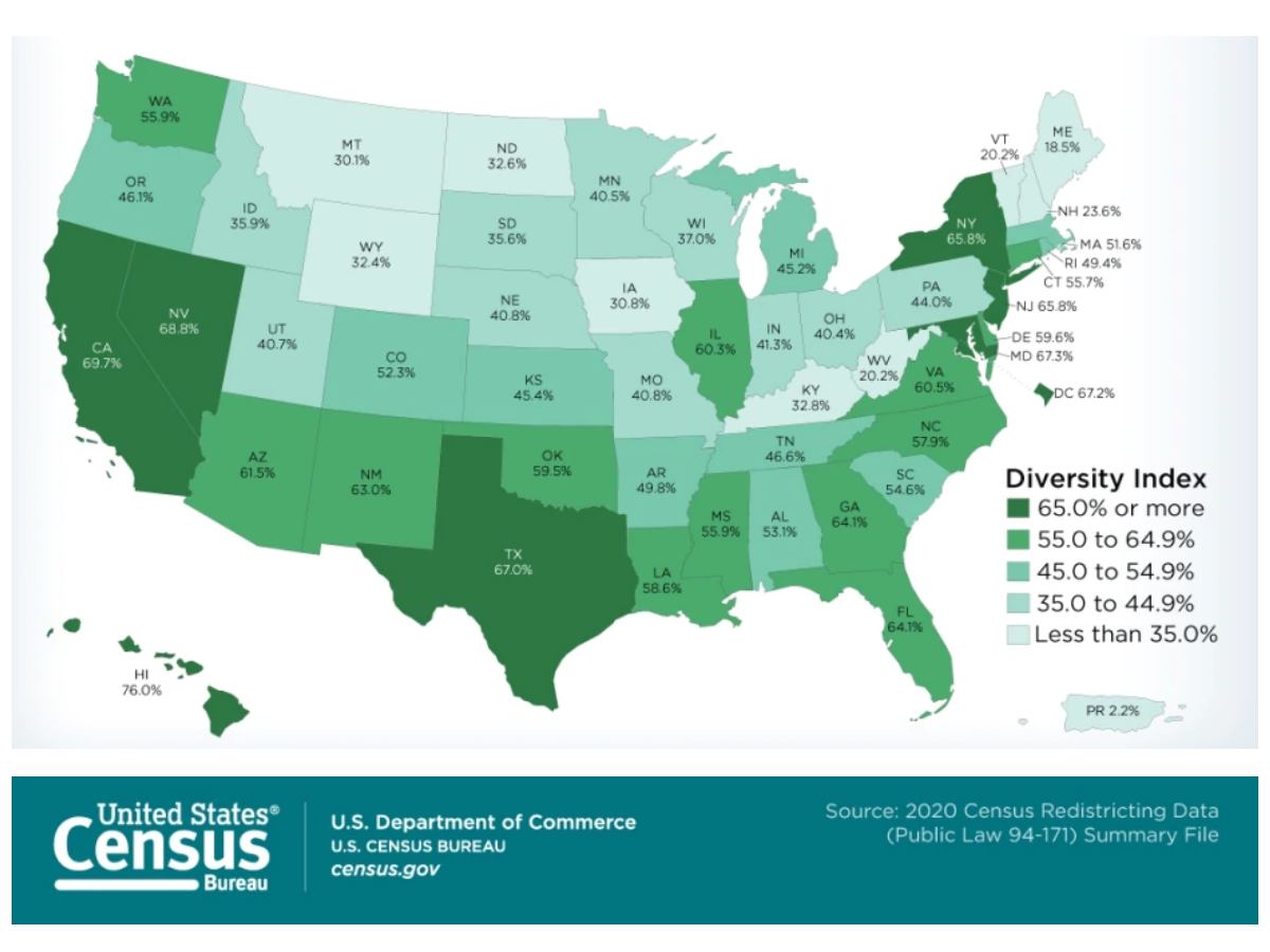 2020 Census Results Map 2020 Census Data Show A More Racially And Ethnically Diverse Population – Counter Tools