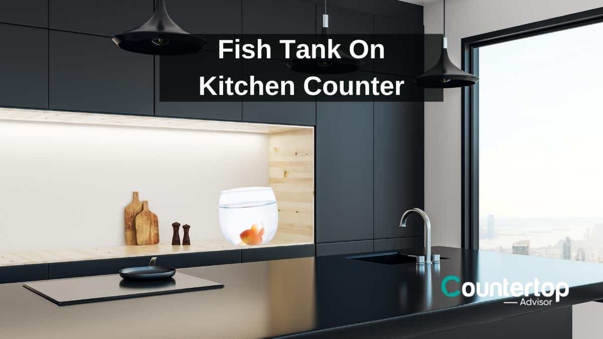 Fish Tank On Kitchen Counter Countertop Advisor