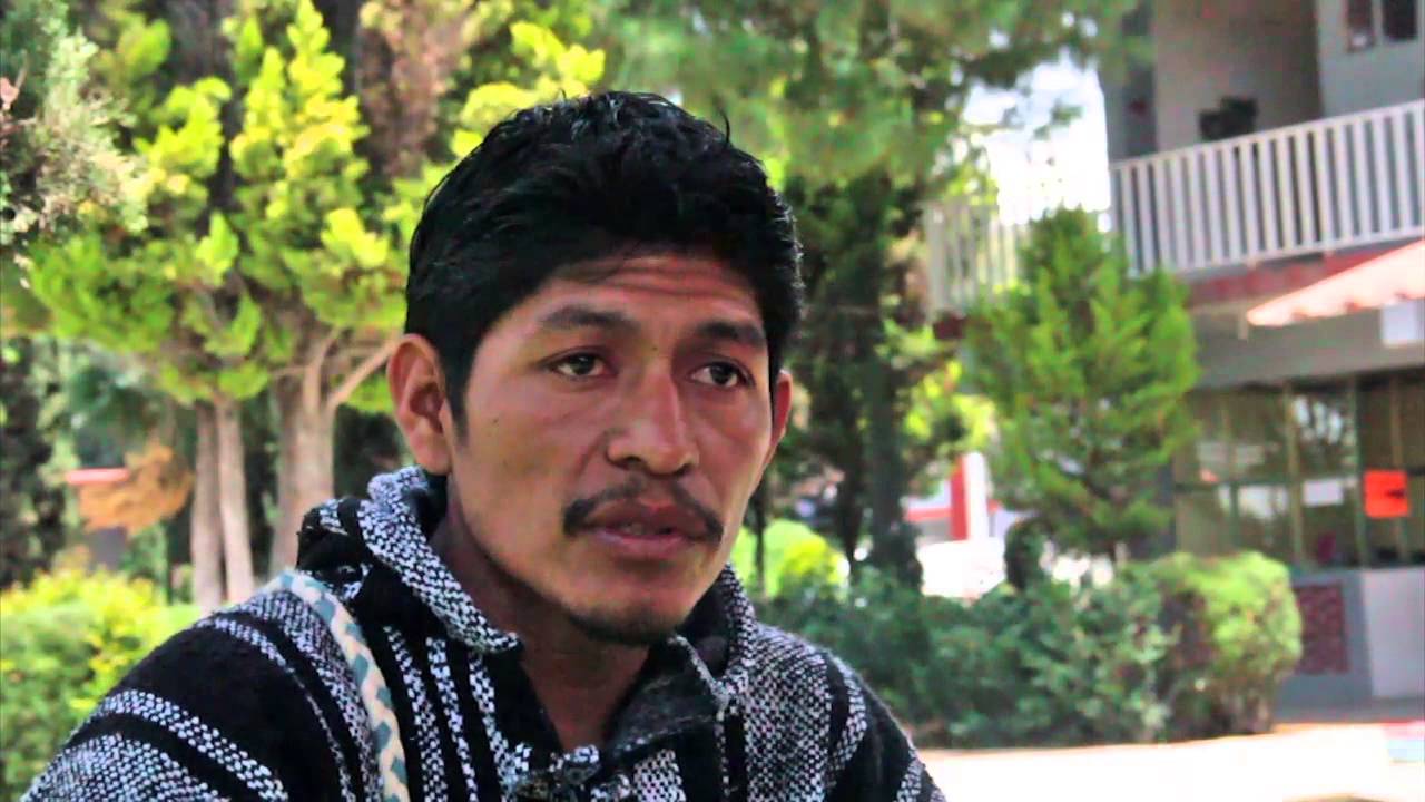 Indigenous ecoactivist slain in Morelos, Mexico CounterVortex