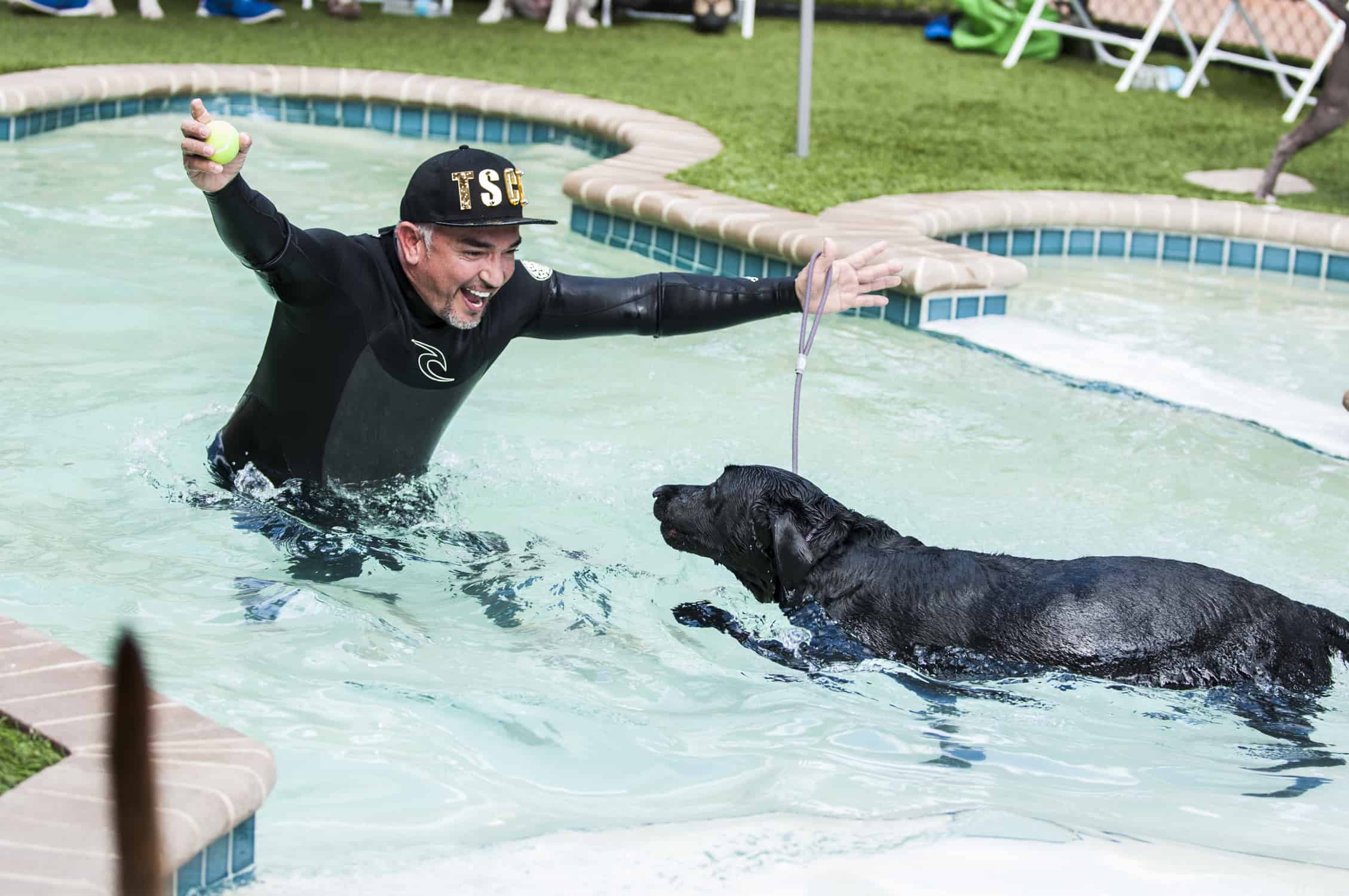 Dog Training in Fort Lauderdale Cesar Millan’s Dog Training