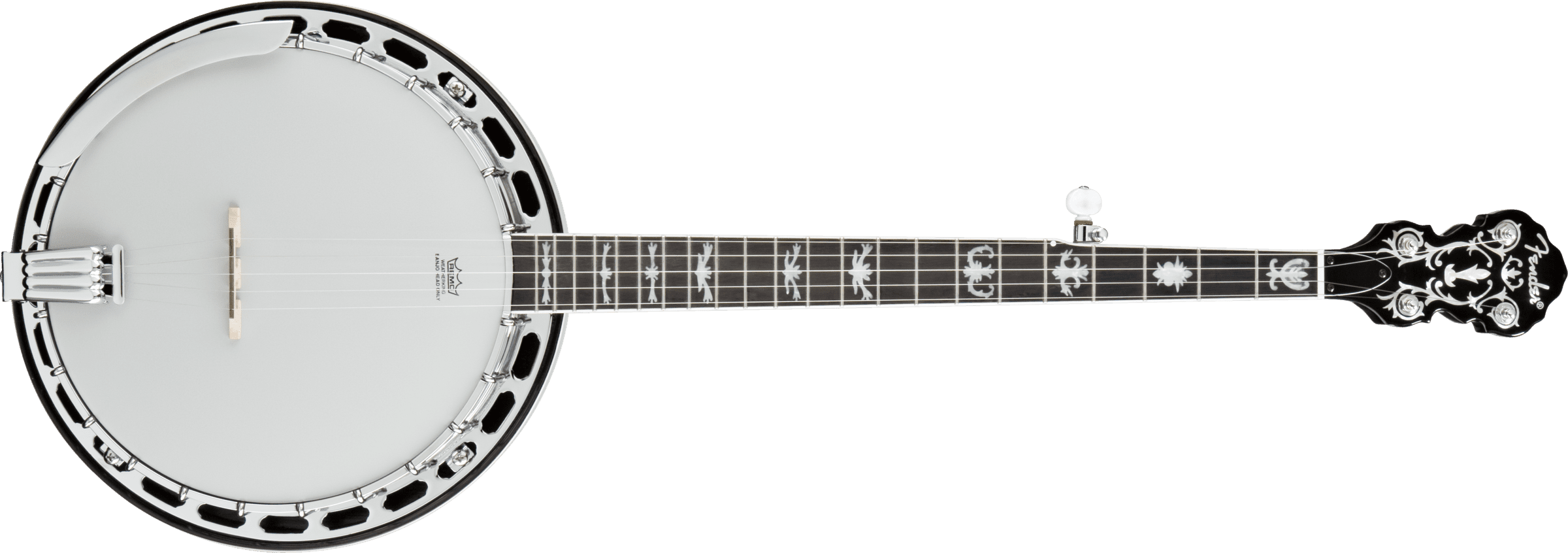 How Many Strings Does A Typical Banjo Have? Unveiling the Varieties