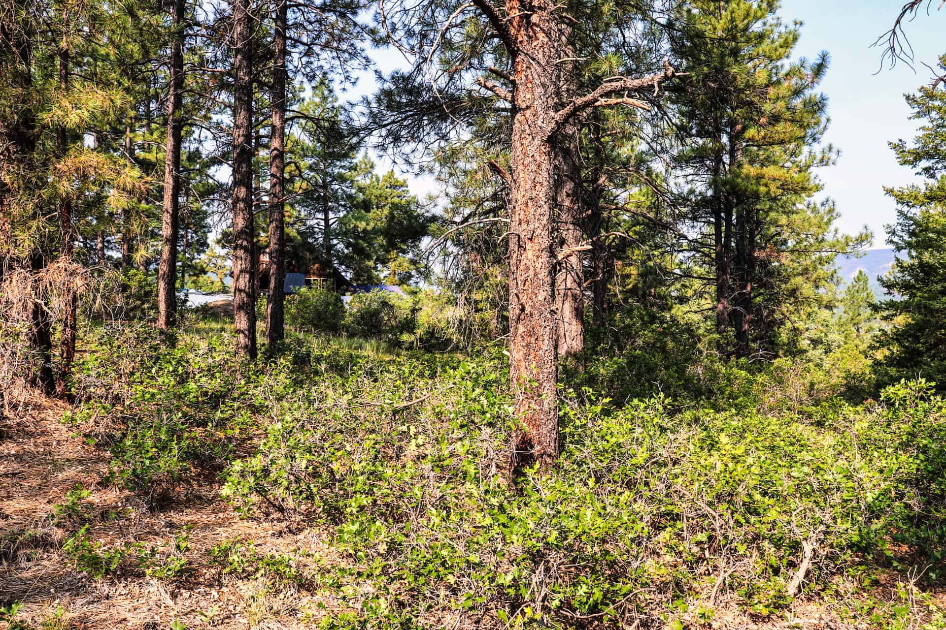 Colorado Sportsman's Paradise Parcel Featuring Hot Springs, Hunting