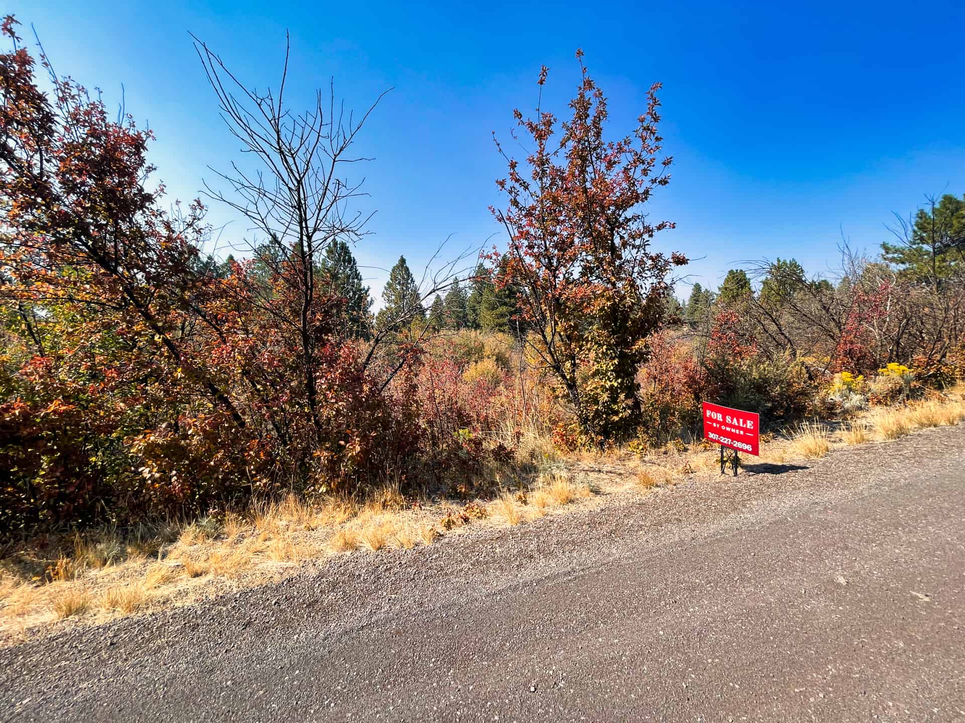 Lake Access Parcel With Utilities Nestled Near Beautiful Custom Homes