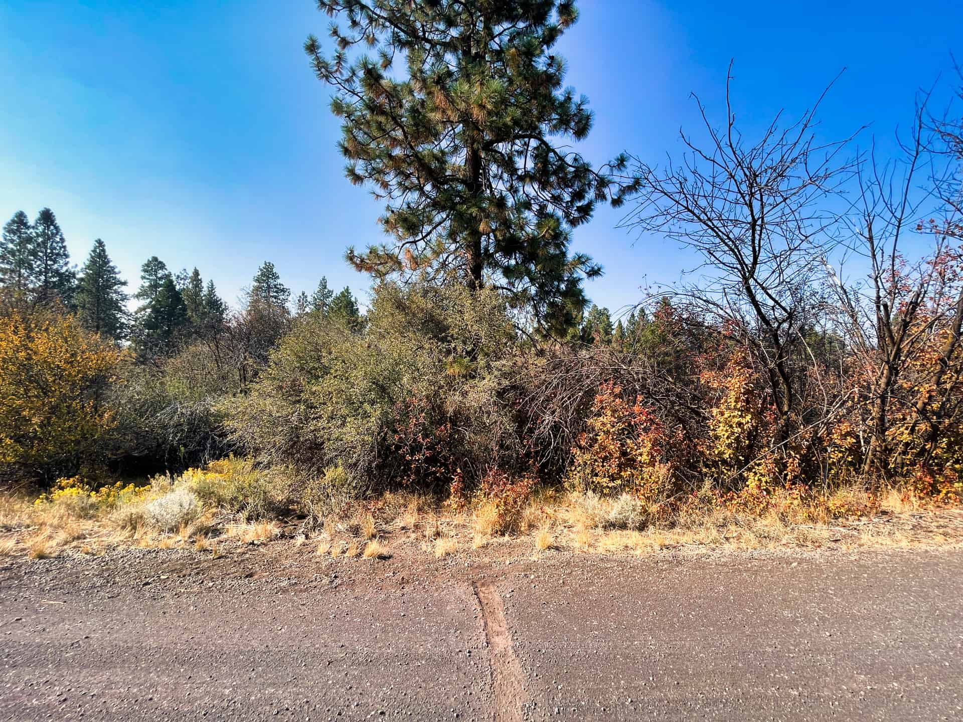 Lake Access Parcel With Utilities Nestled Near Beautiful Custom Homes