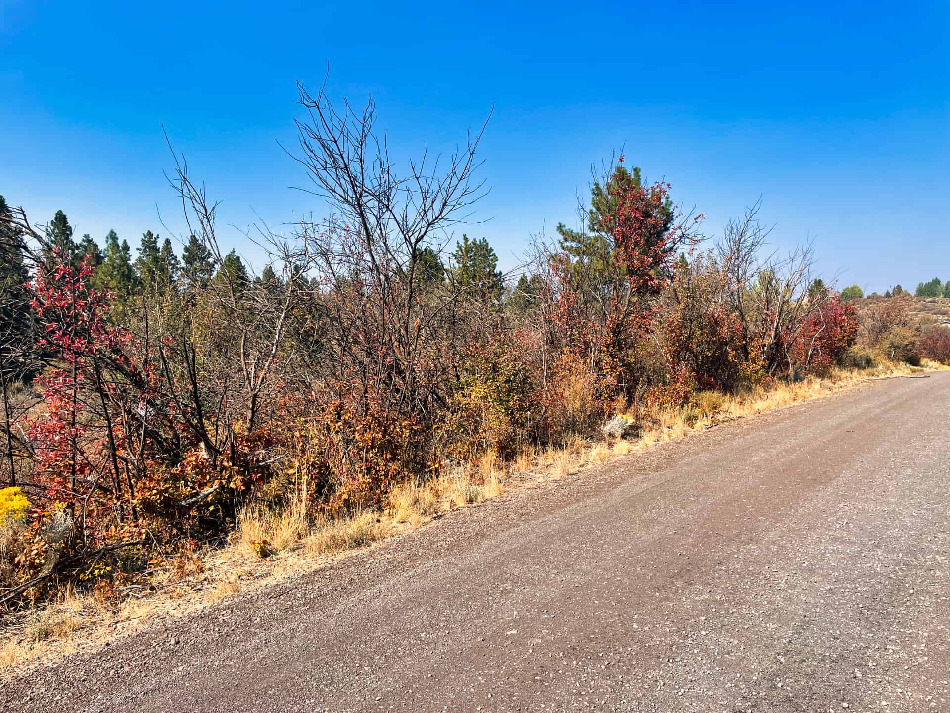 Lake Access Parcel With Utilities Nestled Near Beautiful Custom Homes