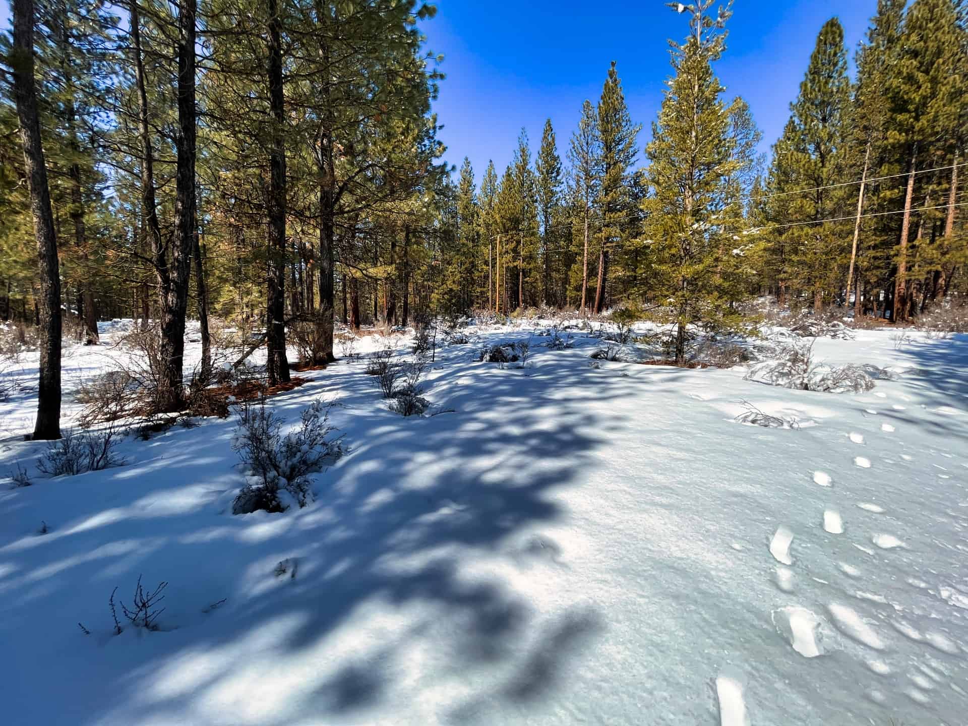 Discover Endless Adventure in Sprague River Pines Your Perfect Getaway