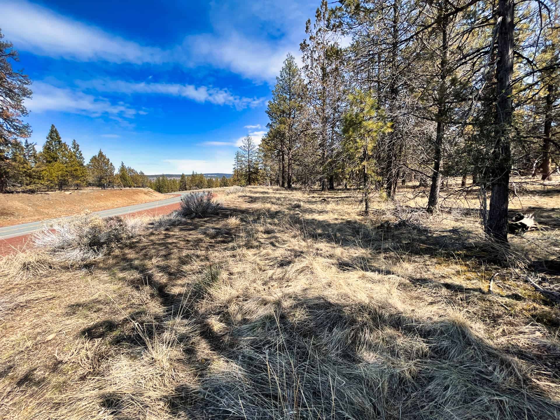 Escape to your Private Paradise 3.89 Acres in Klamath Falls Forest