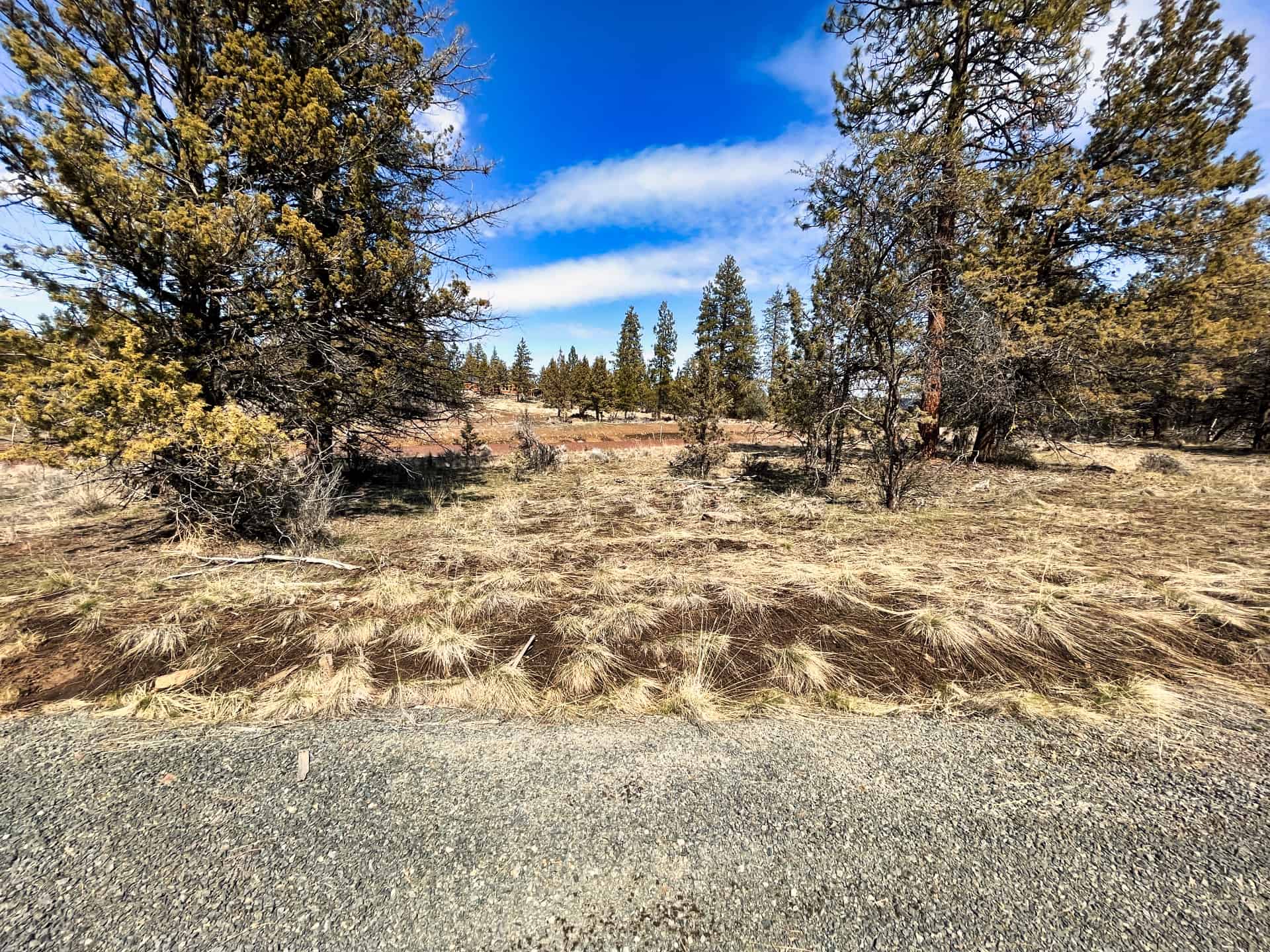 Escape to your Private Paradise 3.89 Acres in Klamath Falls Forest