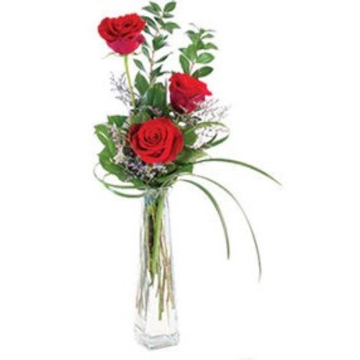 3 Red Roses Countryside Floral & Greenhouses