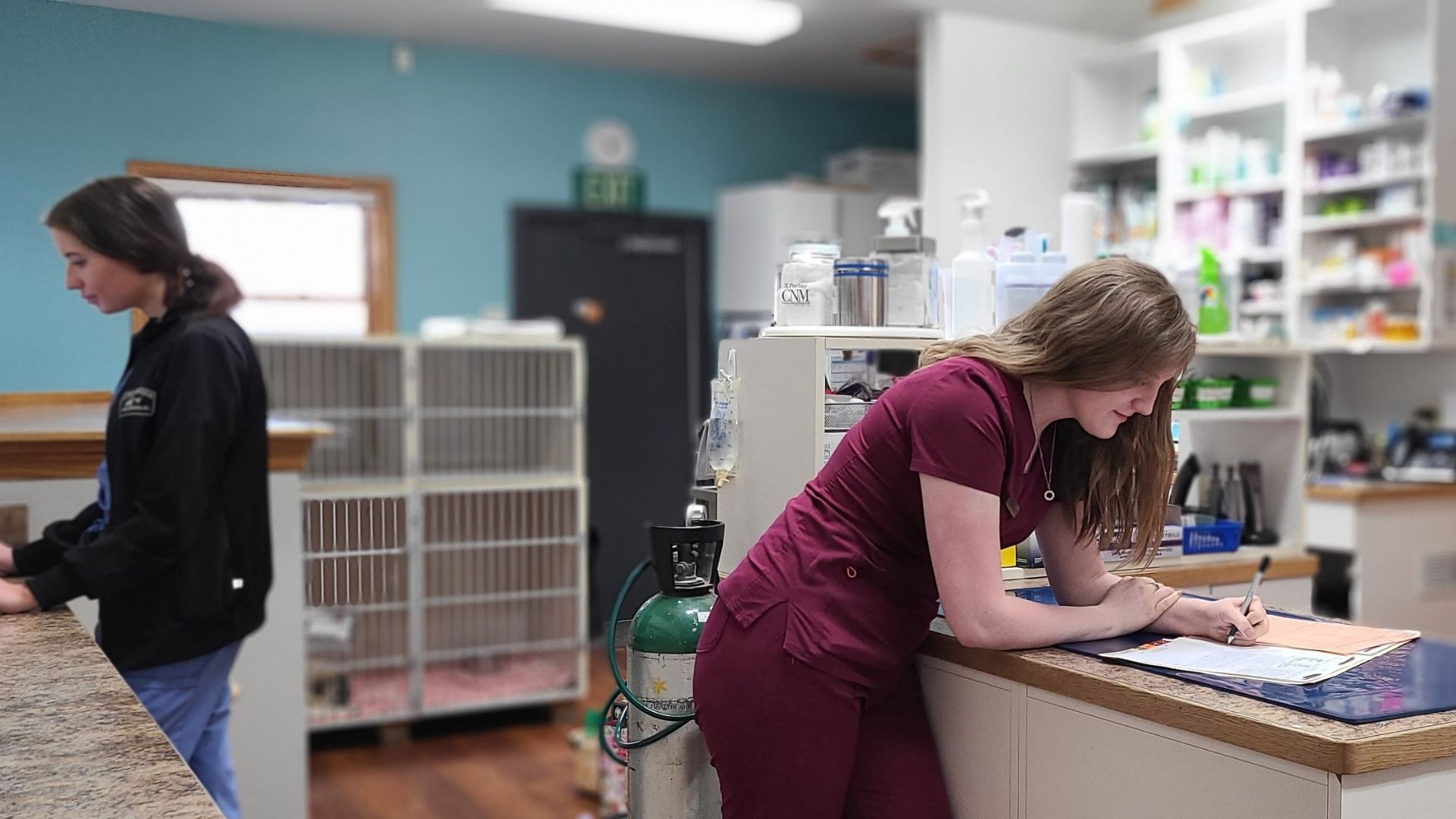 Pet Information In Fort Collins, CO 80525 Countryside Animal Hospital