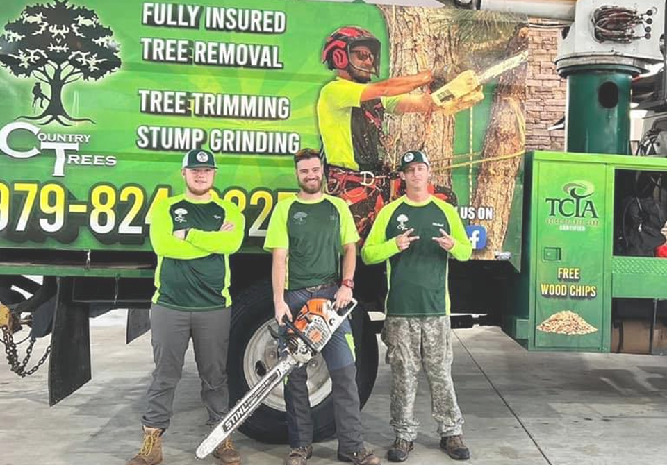 Tree Trimming & Removal Angleton Texas Country Trees LLC