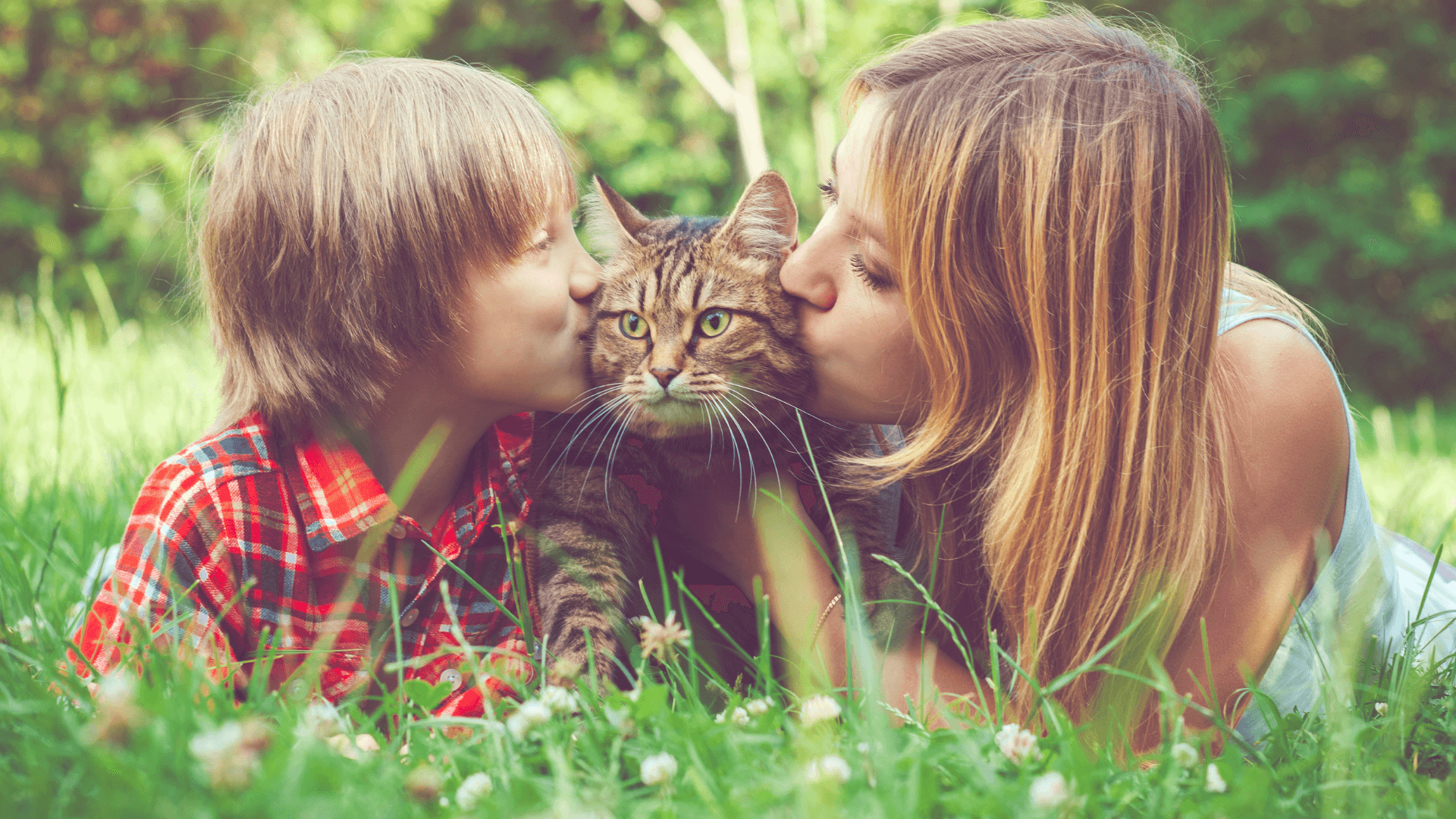 Centralia, MO Veterinary FAQs CountryVets