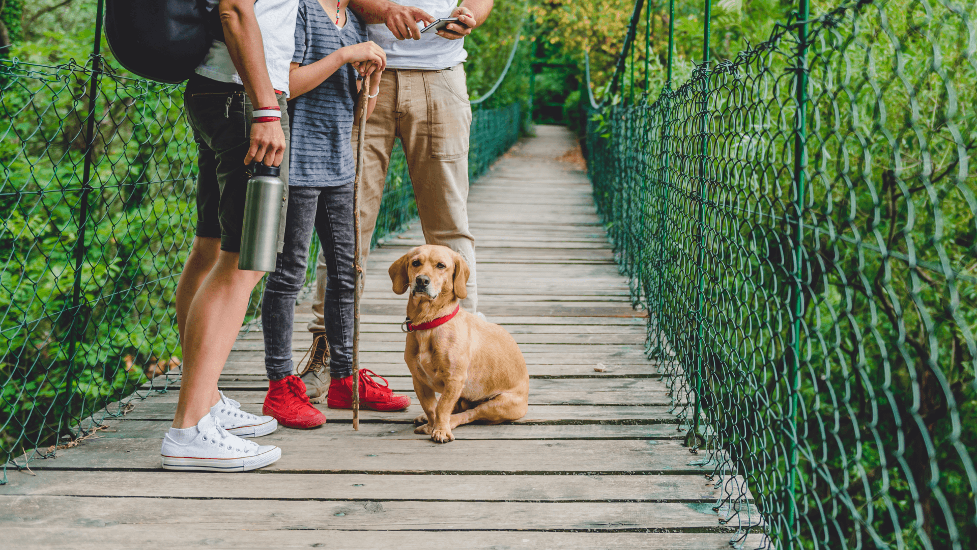 Centralia, MO Veterinary Services Vet In Centralia, MO