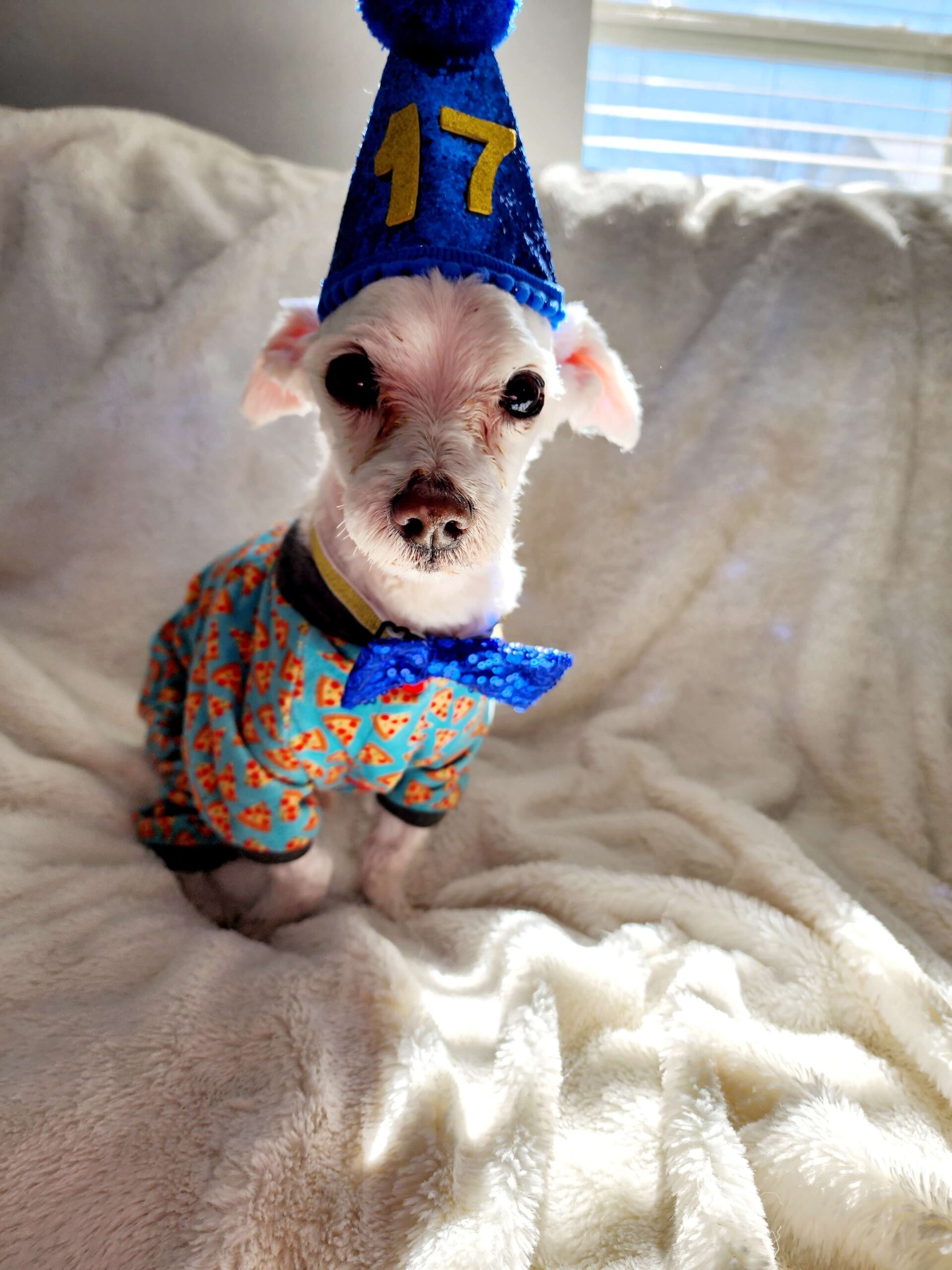 Country View Veterinary Services Of New Glarus Gallery Vet Clinic In