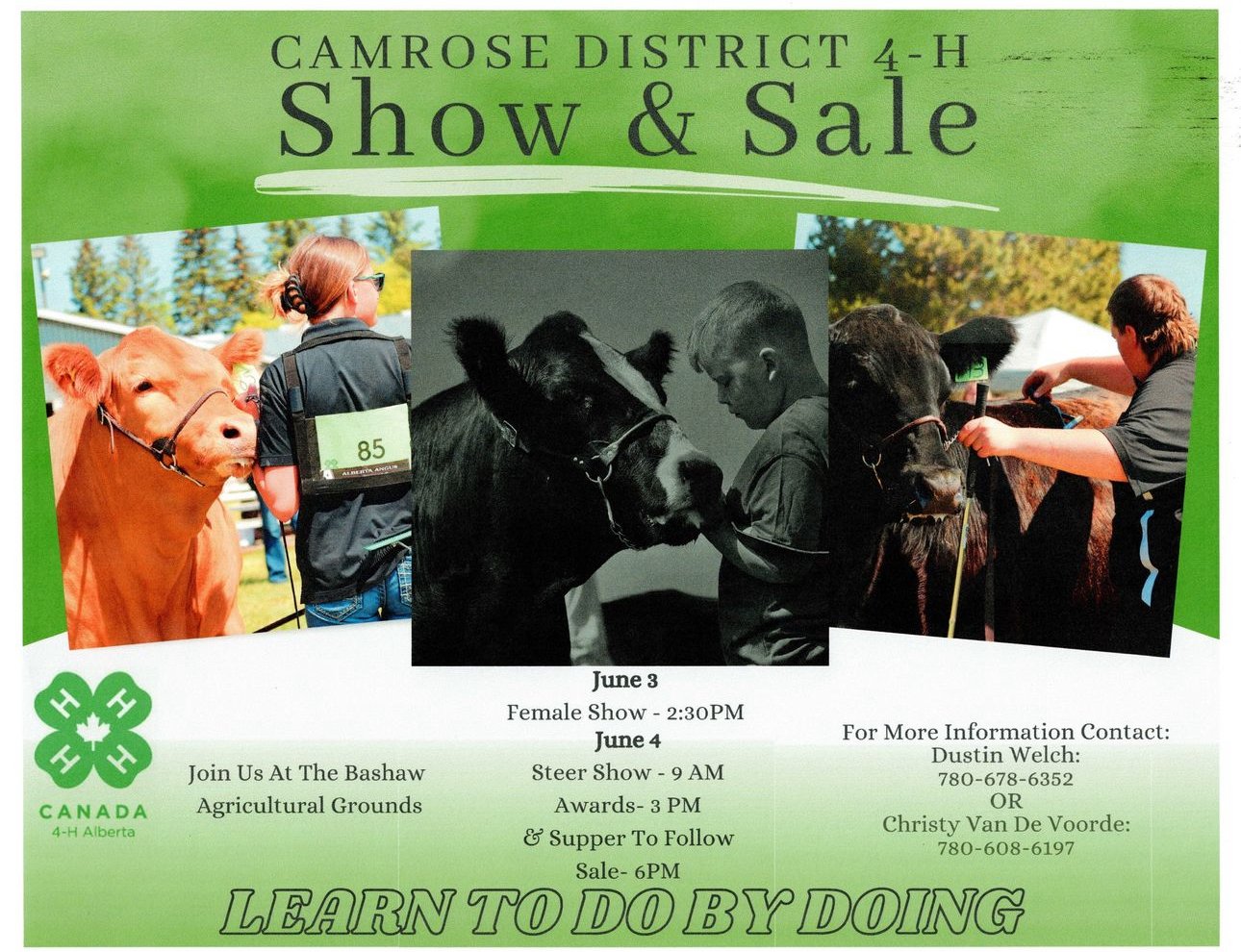 Camrose & District 4H Steer Show & SALE Camrose County