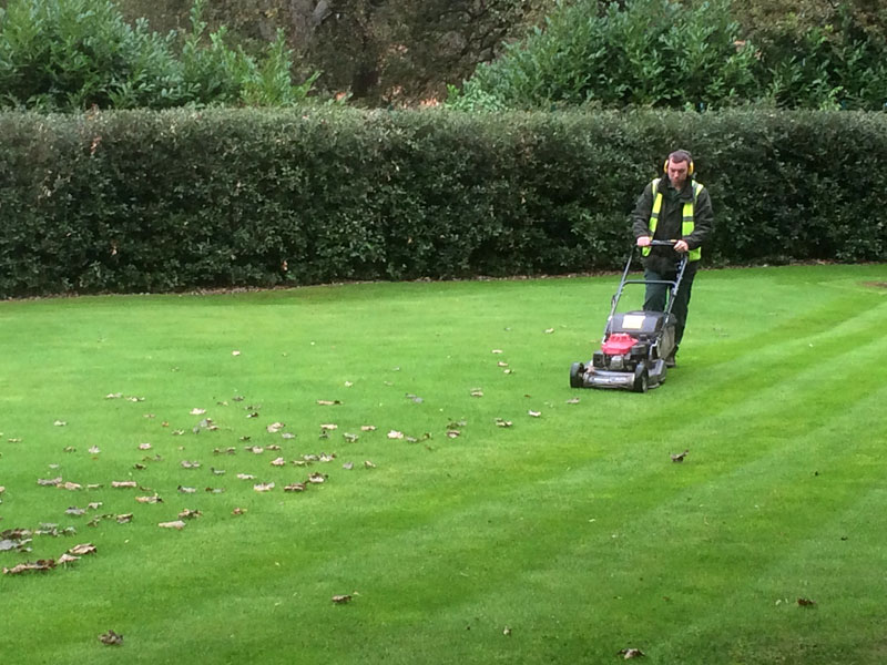 Grounds Maintenance West Midlands, Birmingham, Wolverhampton, Dudley