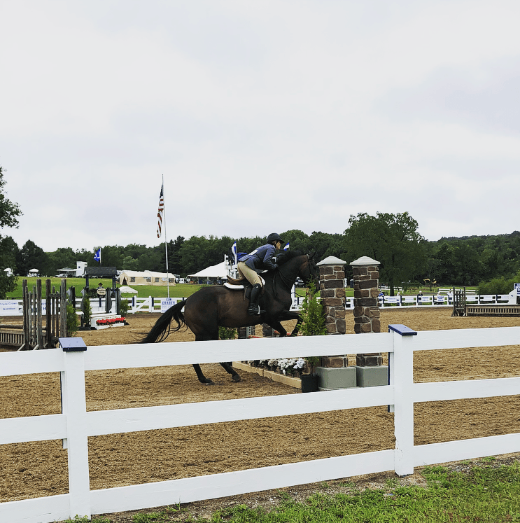 Ludwig's Corner Horse Show County Lines Online
