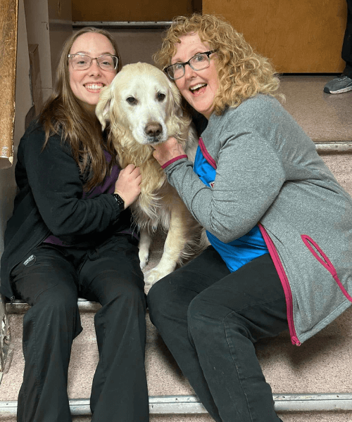 About County Line Veterinary Hospital Vet In Marlton, NJ