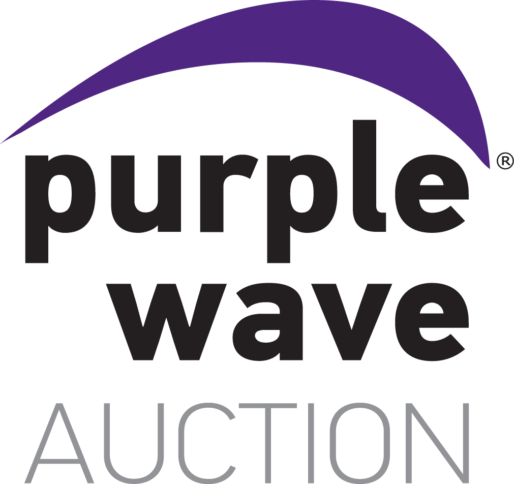 Purple Wave Auction Texas County Progress