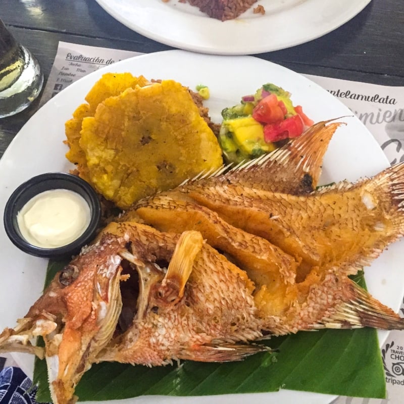 9 Amazing Cartagena Restaurants and Bars to Experience Couple in the