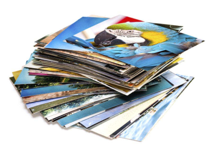 Shutterfly Coupon Code 101 FREE Photo Prints, Just Pay Shipping