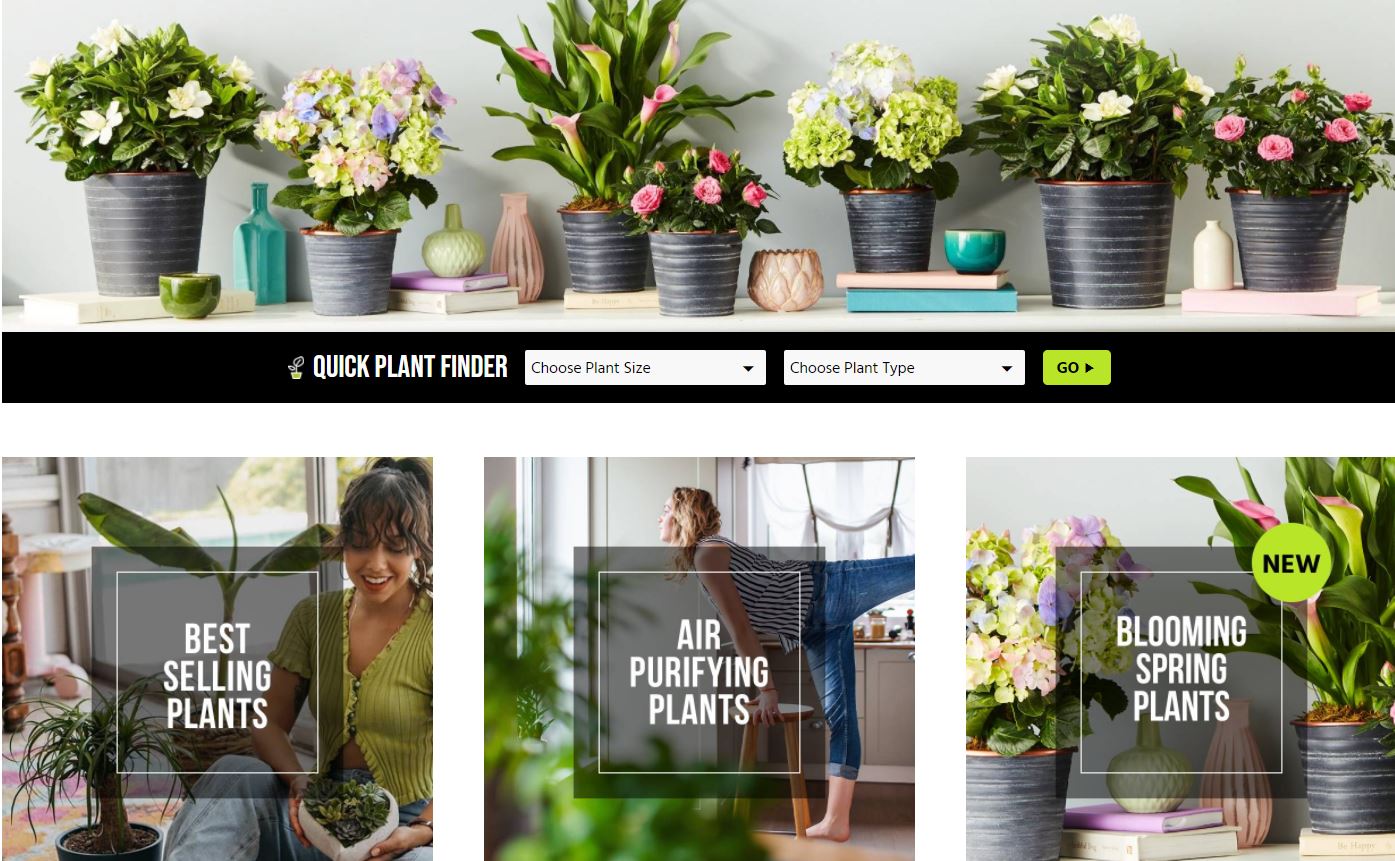 Deals Save a bundle with the best bargains