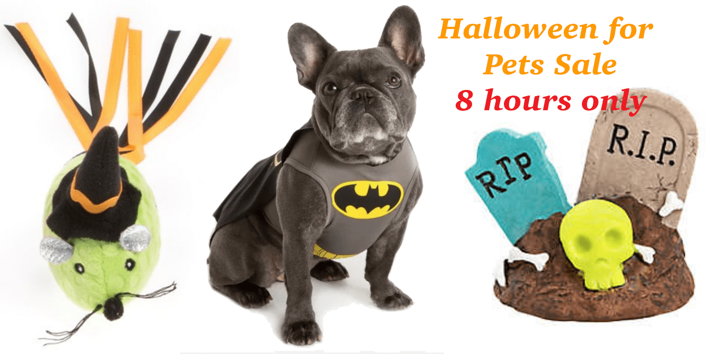 Petsmart Halloween Party and Sale On All Things Halloween Coupons 4 Utah