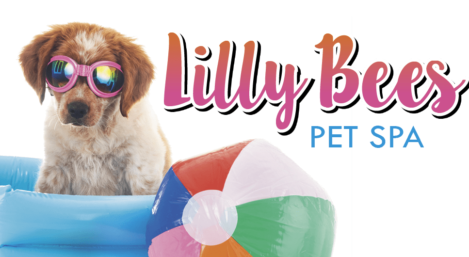 Lilly Bees Pet Spa • BeeHave Holistic Dog Training Ltd. Coupons