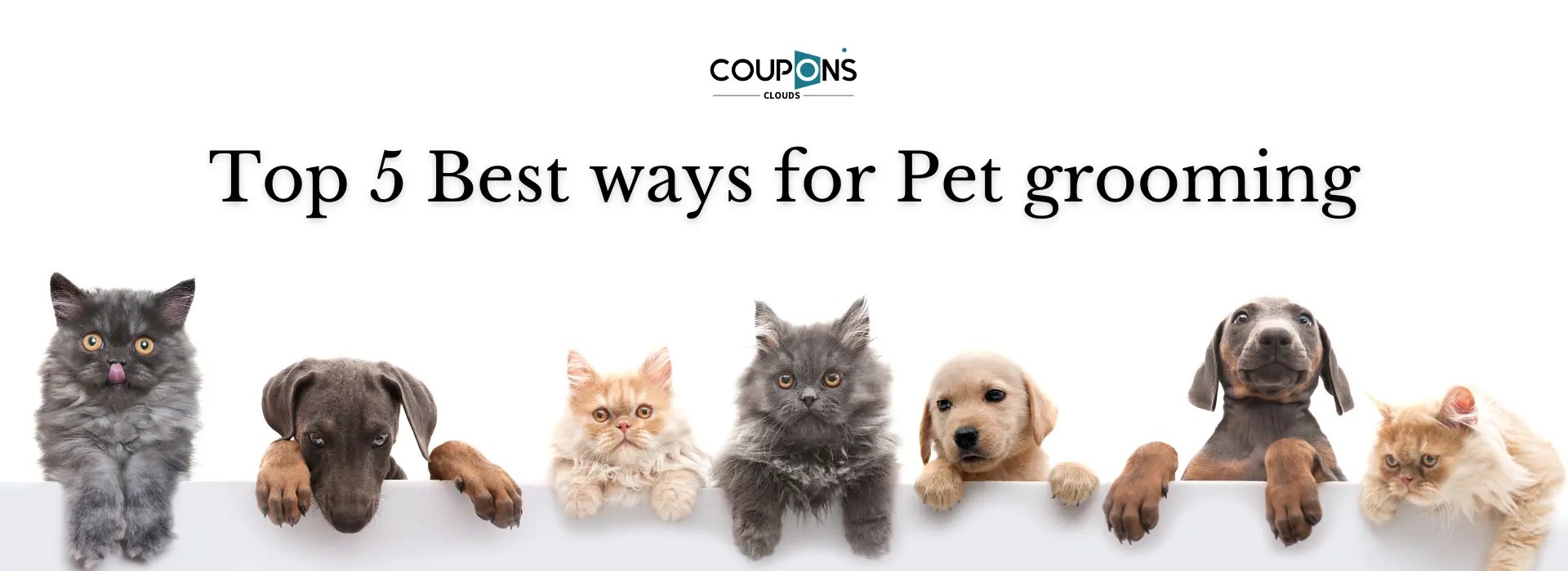 Top 5 Best Pet Grooming Brands in India You Must Check
