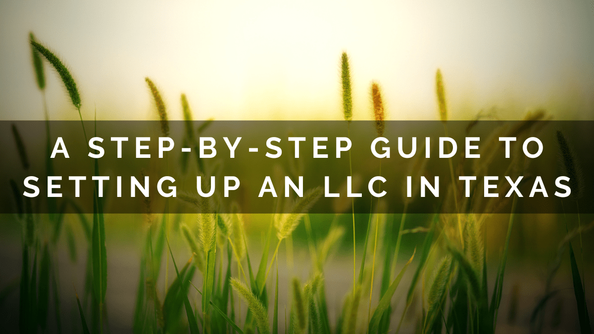 A StepbyStep Guide on How to Set Up an LLC in Texas
