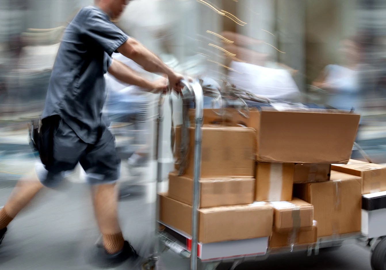 VIP COURIER DELIVERY SERVICE Courier Service Express Delivery