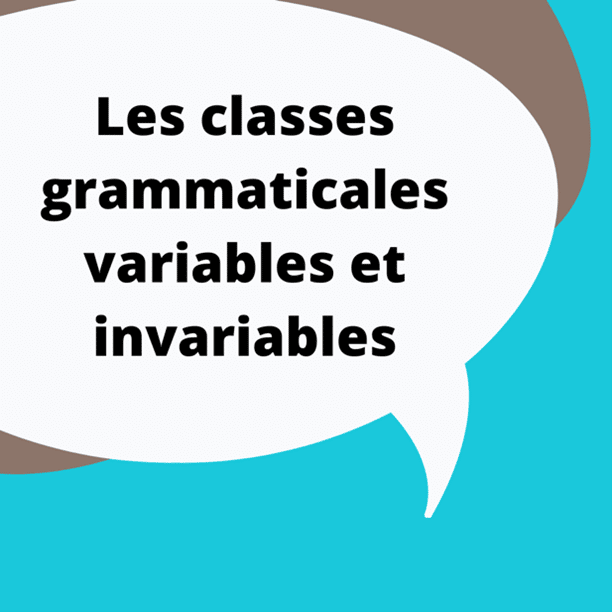 Classes grammaticales et fonctions des mots dans la phrase