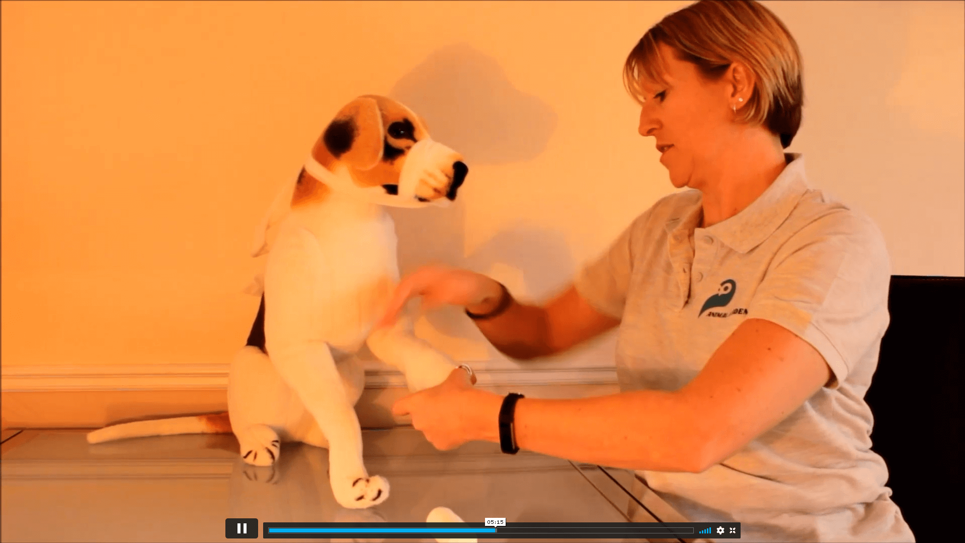 Level 3 Pet First Aid Course Cloud