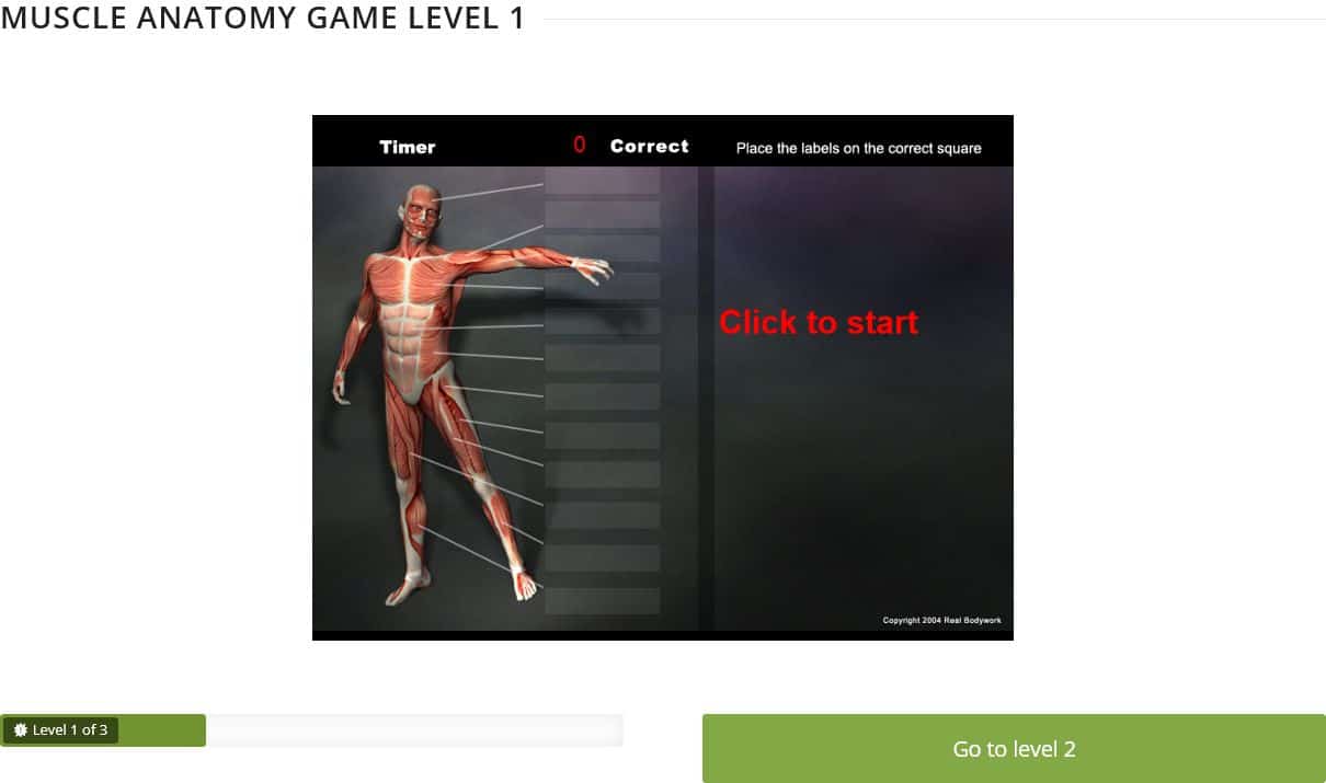 15 Anatomy Games For College, Medical Students, And Nurses