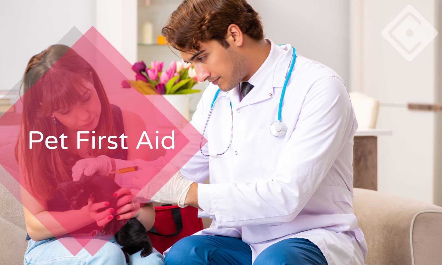 Pet First Aid Course Gate