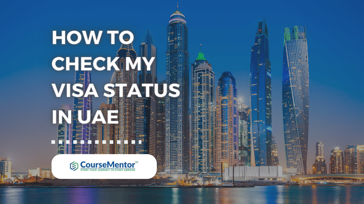 How To Check My Visa Status In UAE A Comprehensive Guide