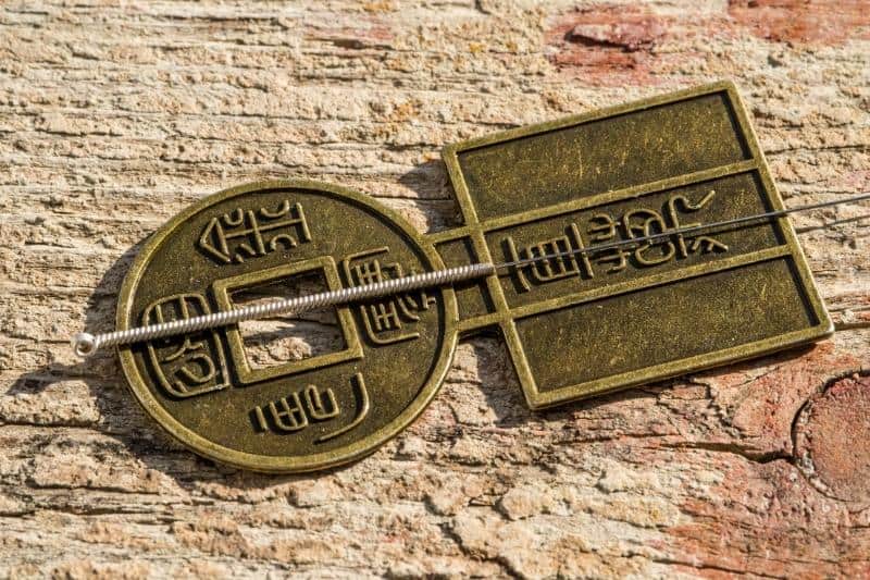 Top 11 Best Acupuncture Courses