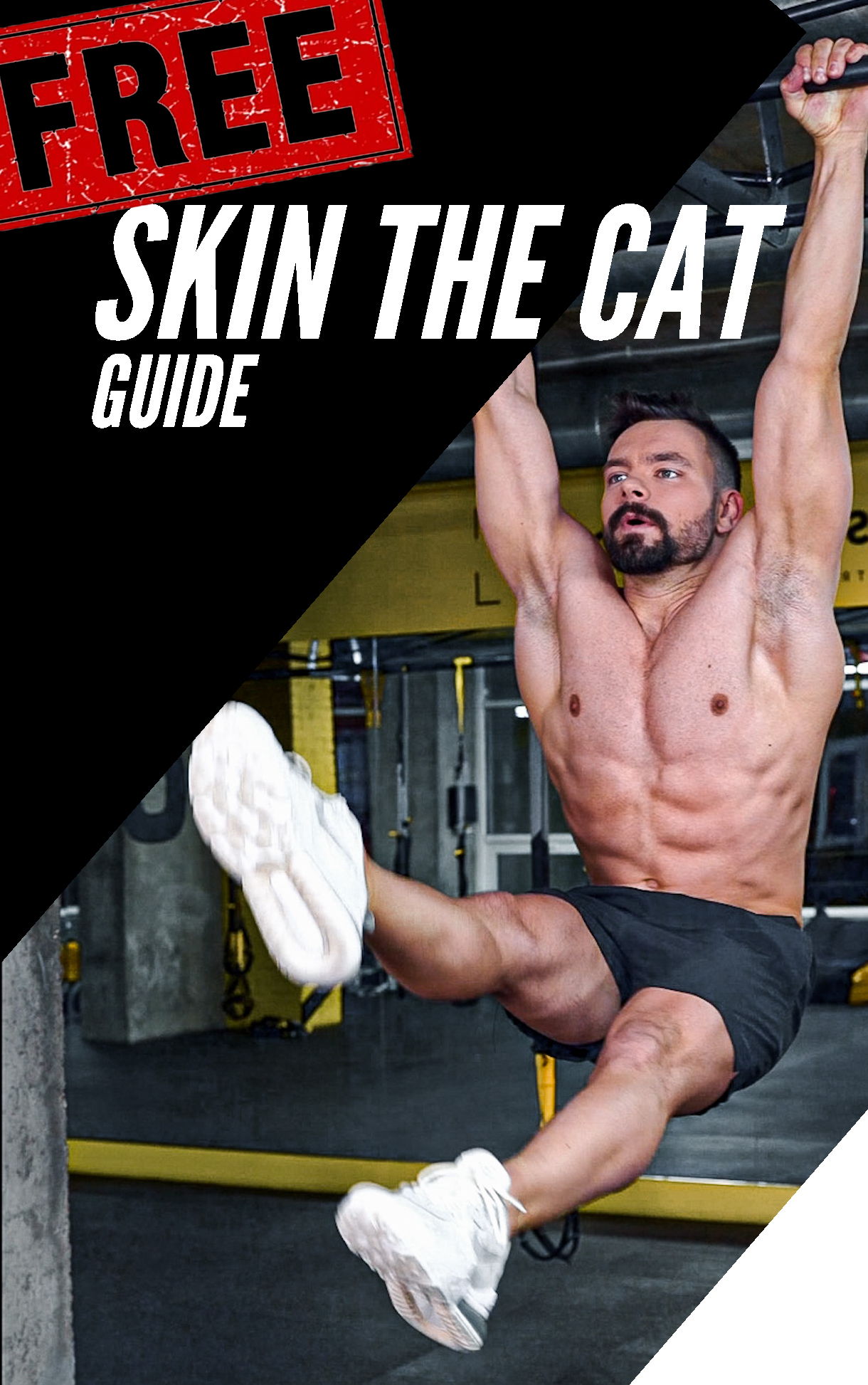 Skin the Cat Ebook Download Coach Bachmann