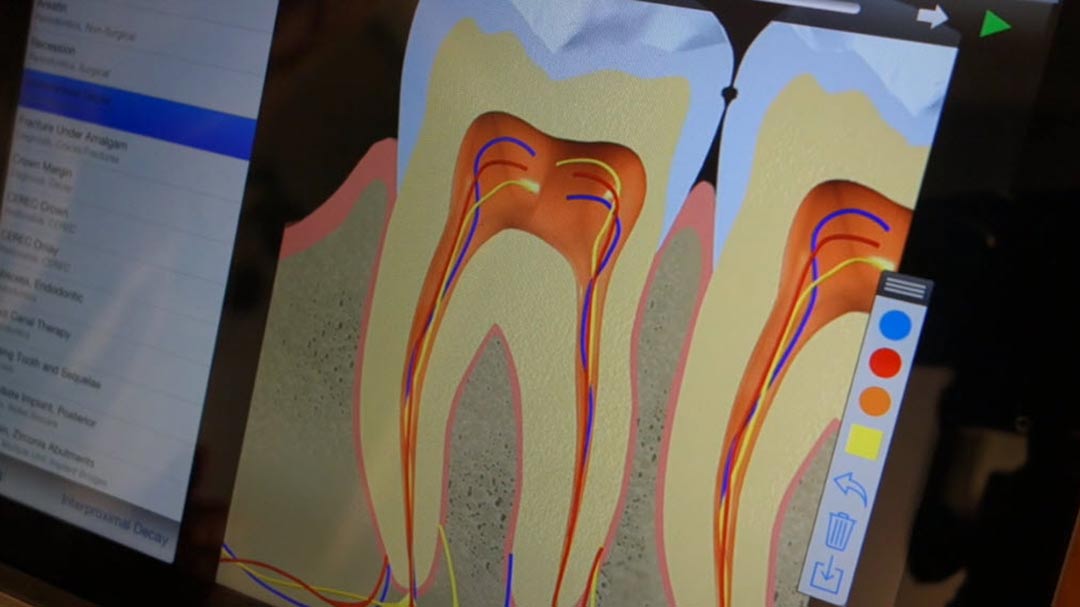 Restorative Front Office Rocks