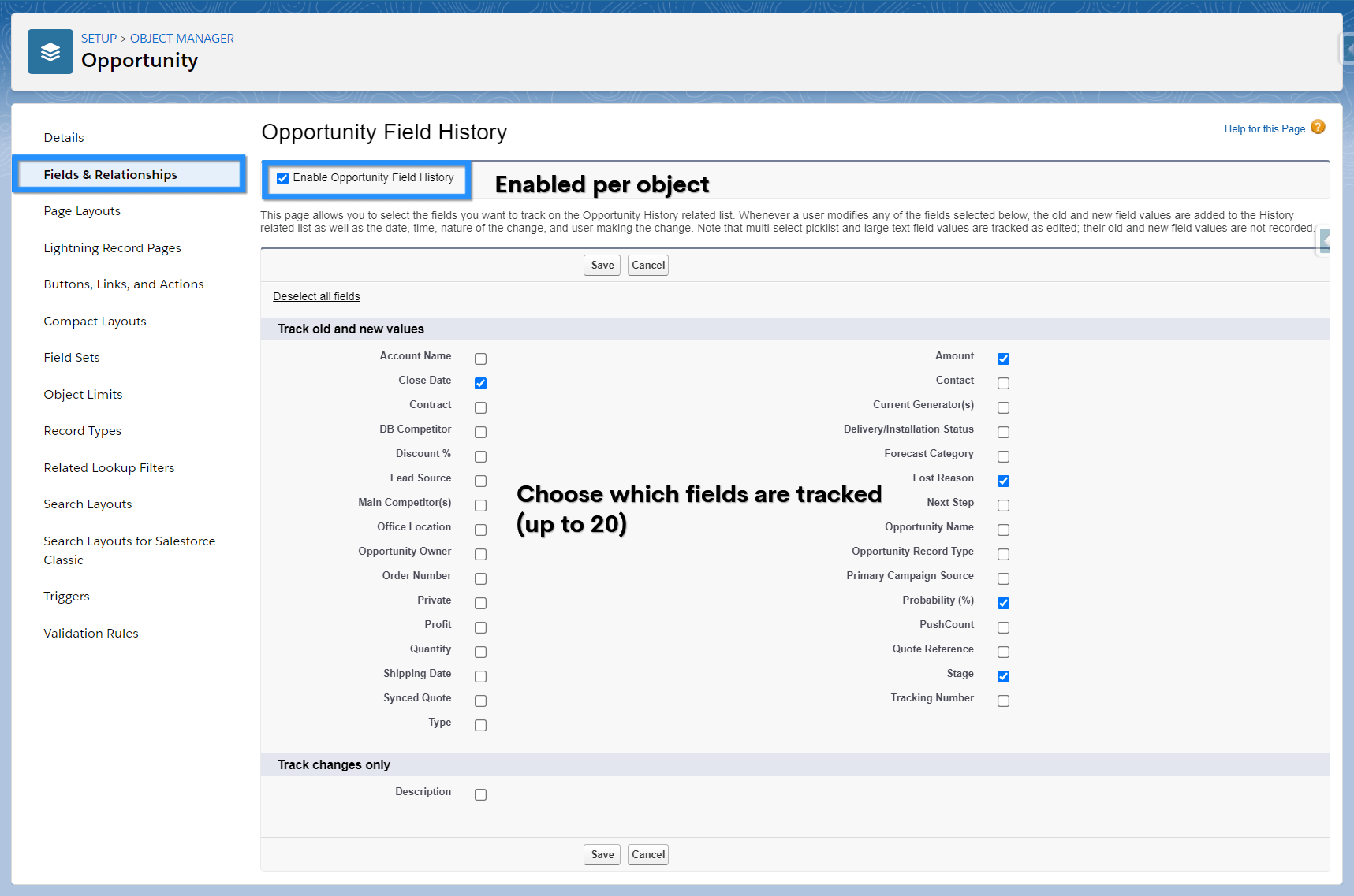Features of Chatter Courses