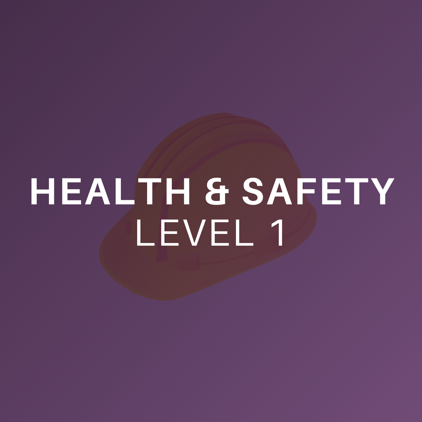 Level 1 Health and Safety Steadfast Training Courses