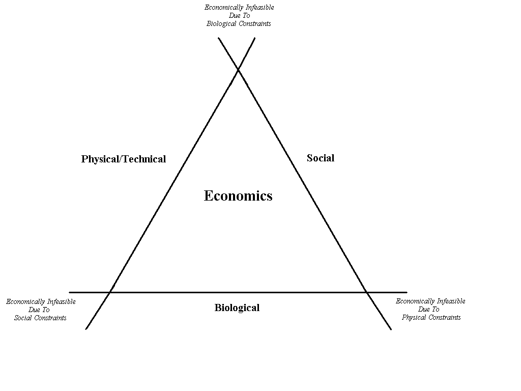 3 Goals, Objectives and Constraints