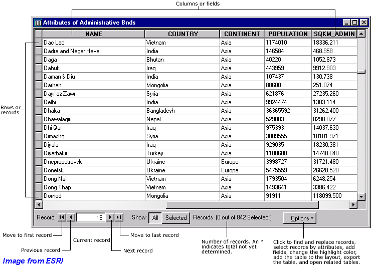 Relational Database Model & Attribute Data Structures