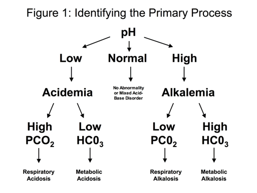 Arterial Blood Gas primer Clinical Respiratory Diseases & Critical
