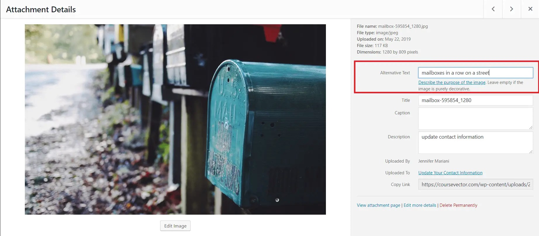 Alt Tags For Accessibility CourseVector