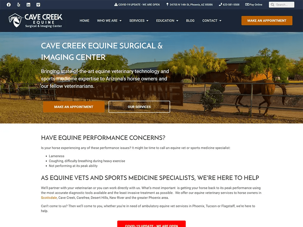 Cave Creek Equine Veterinarian site Design CourseVector