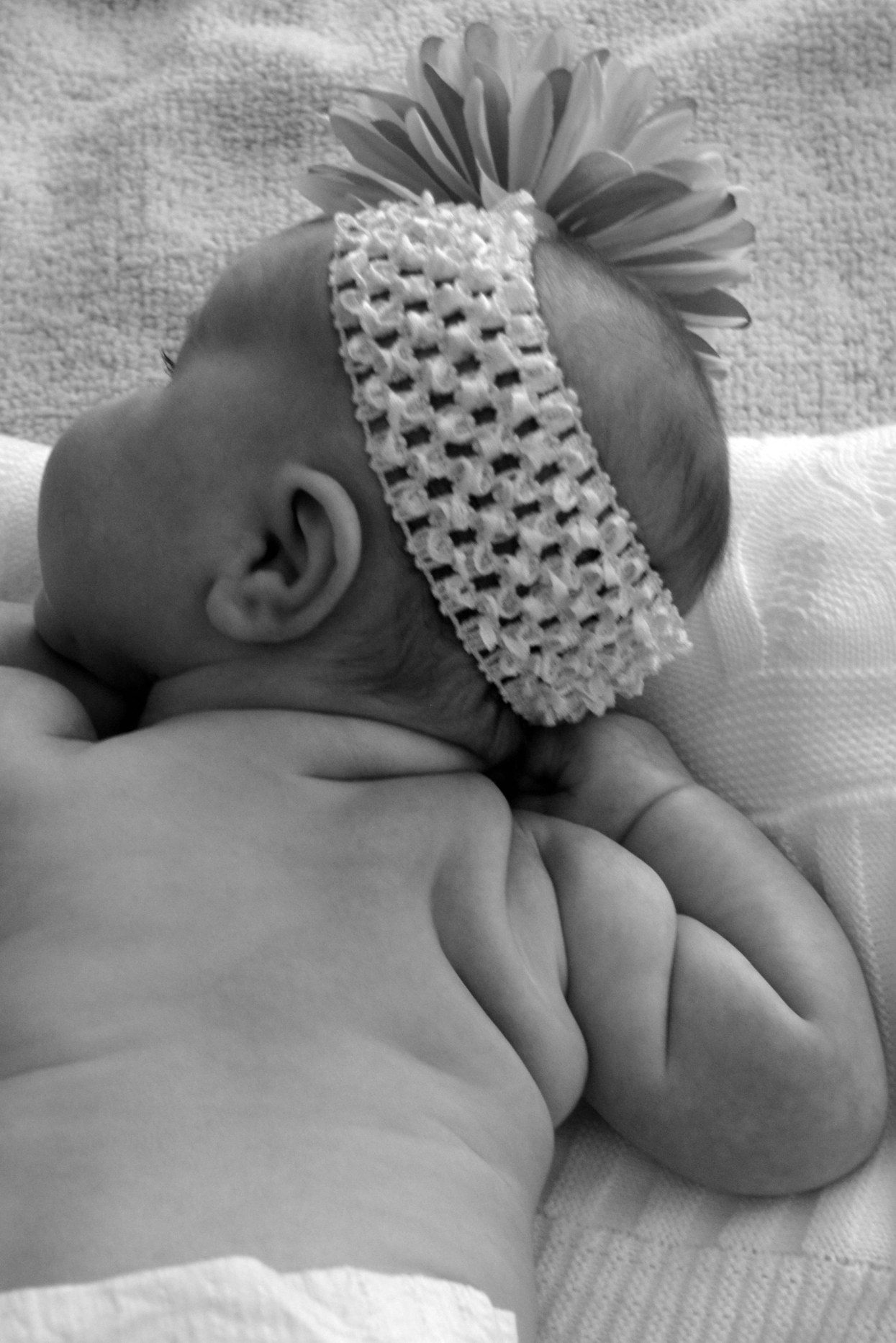 Avery Grace CourtneyBrook