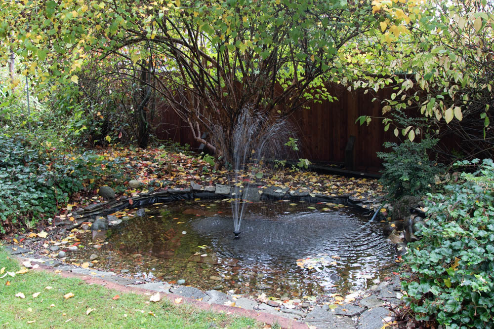 Backyard Wildlife Habitat Ten Year Origin and Evolution