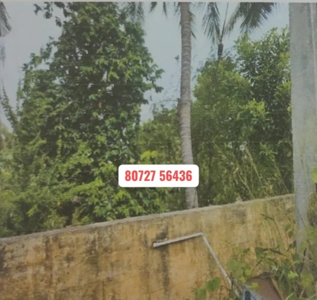 50 Cents Vacant Land Sale in Chinnavedampatti Covai Banks Auction